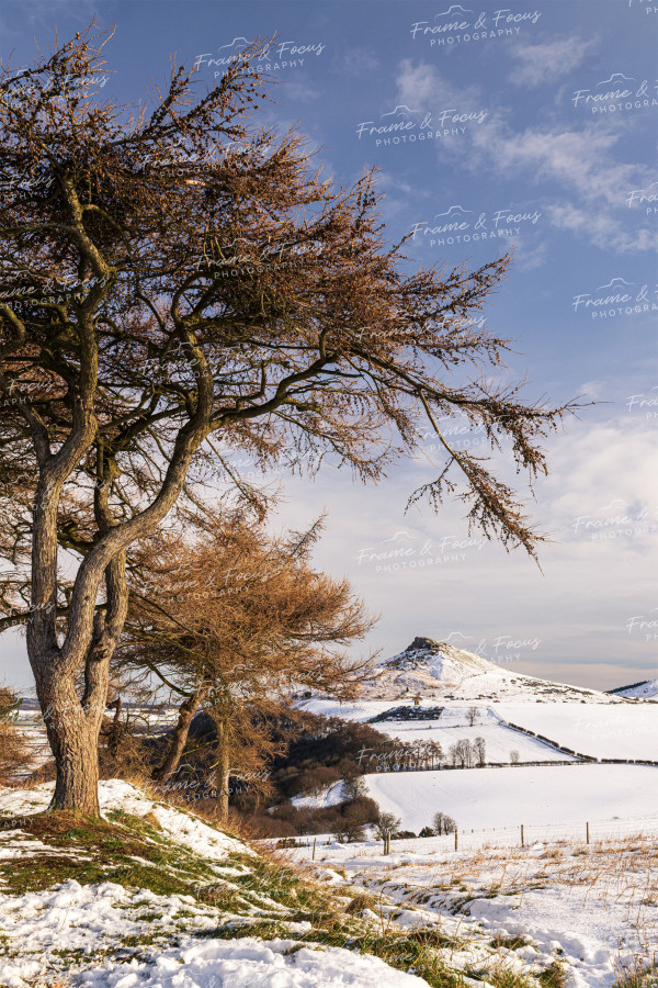 To buy a print or any of the below please click on the images